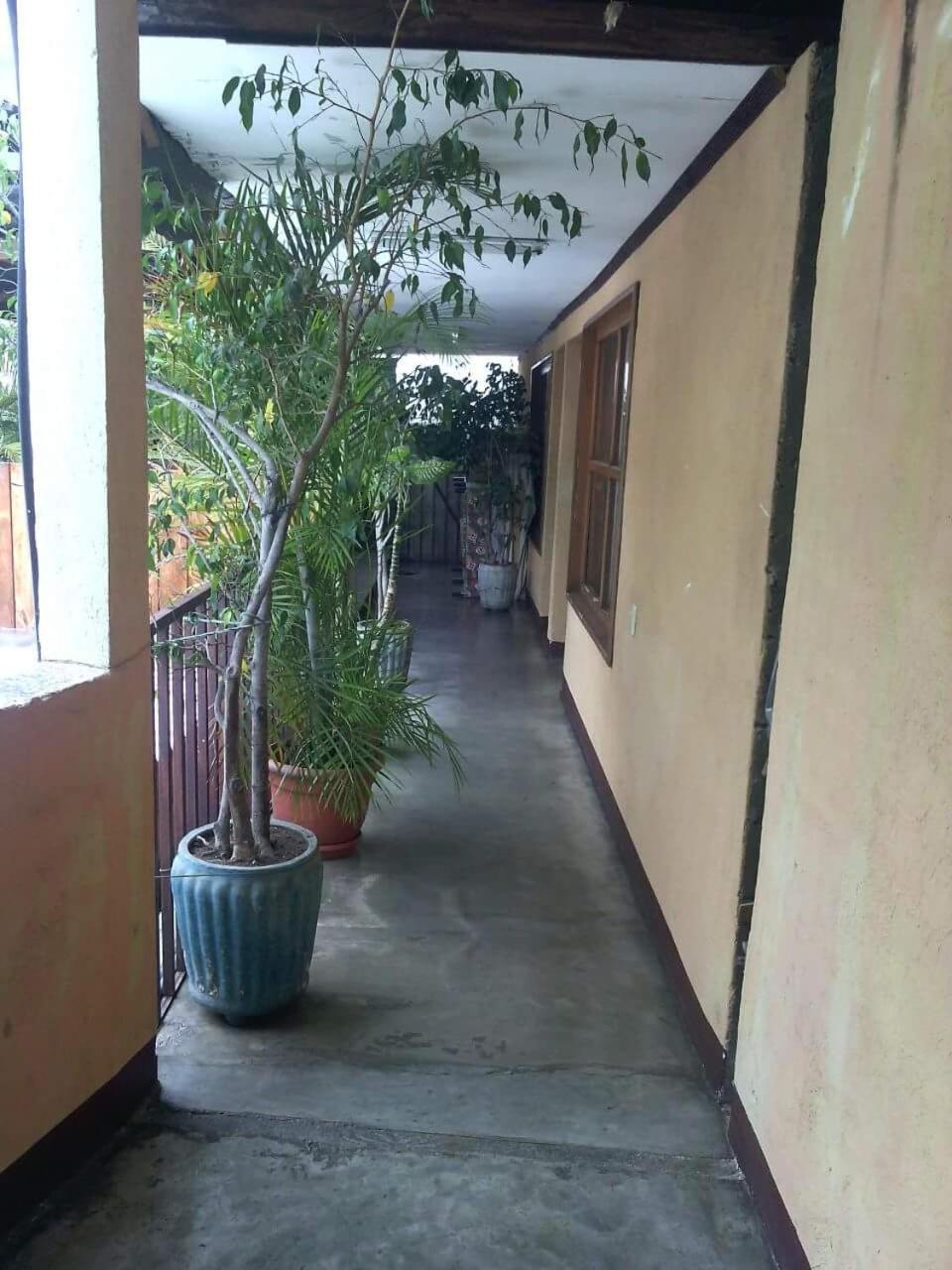 Hospedaje Eli Panajachel Εξωτερικό φωτογραφία